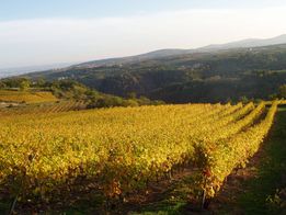 Gîte la fournarie chuyer pilat